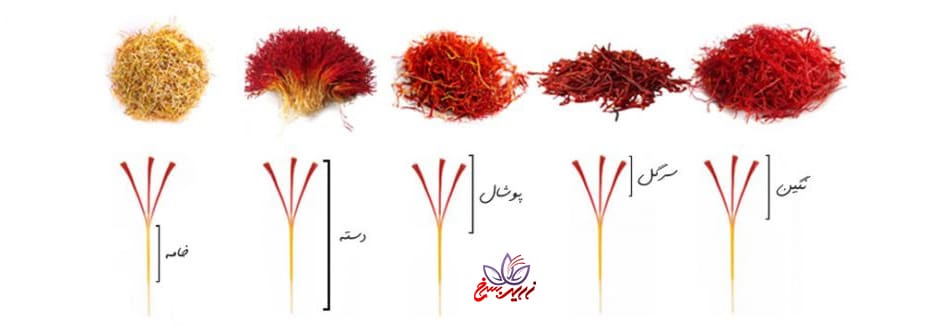 معرفی انواع زعفران