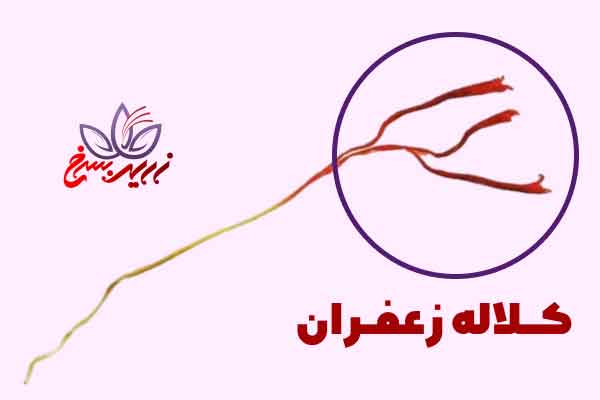 کلاله زعفران چیست؟