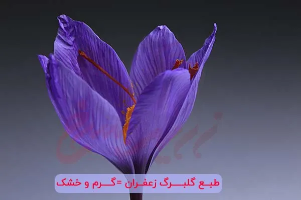 طبع گلبرگ زعفران