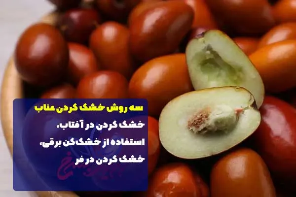 چگونه عناب را خشک کنیم