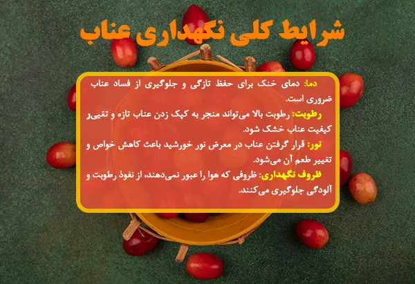 شرایط کلی نگهداری عناب