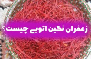 زعفران نگین اتویی چیست